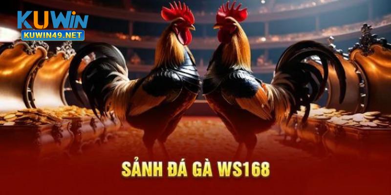 Sảnh đá gà Ws168 kuwin