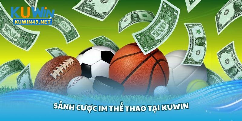 Đôi nét về Thể Thao IM tại Kuwin