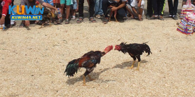 Chất lượng hình ảnh là đặc trưng nổi bật tạo ấn tượng với người chơi